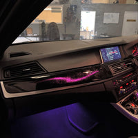 BMW F10 5 Series OEM+ Ambient Kit