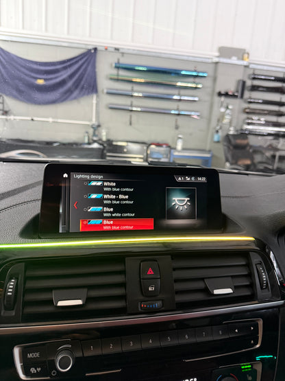 BMW 1/2 F-Series OEM+ Ambient Kit