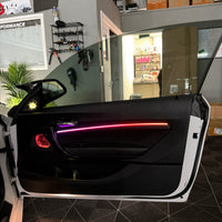 BMW 1/2 F-Series OEM+ Ambient Kit